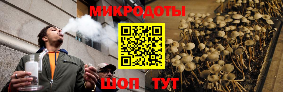 Соль-Илецк  Псилоцибиновые грибы MAGIC MUSHROOMS  Вход с VPN  Галлюциногенные грибы Psilocybe 